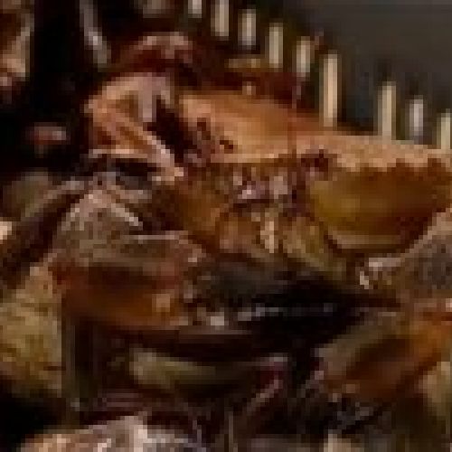 prodsec 120663