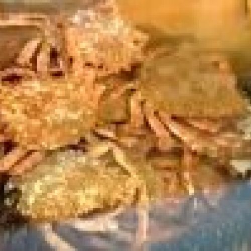 prodsec 120660