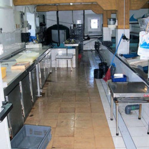 Zona de envasa do en el interior del  vivero de marisco