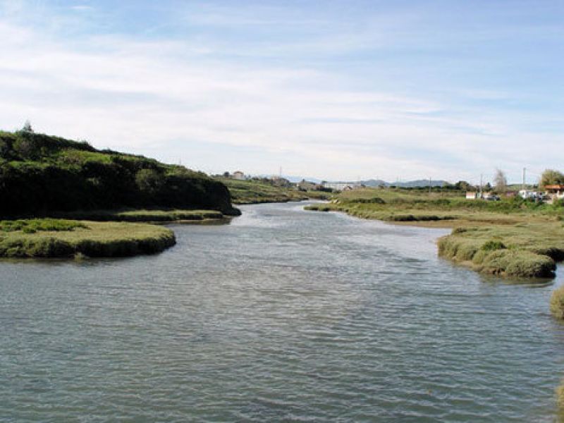 Vista de la zona de marismas exterior