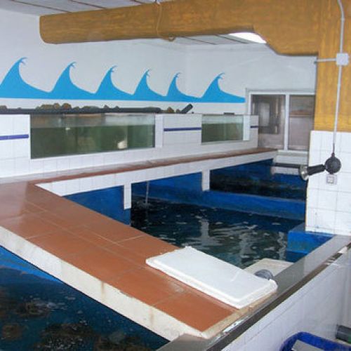 Interior del vivero de marisco