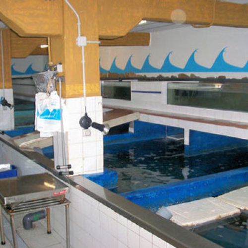 Vista del interior del vivero de marisco