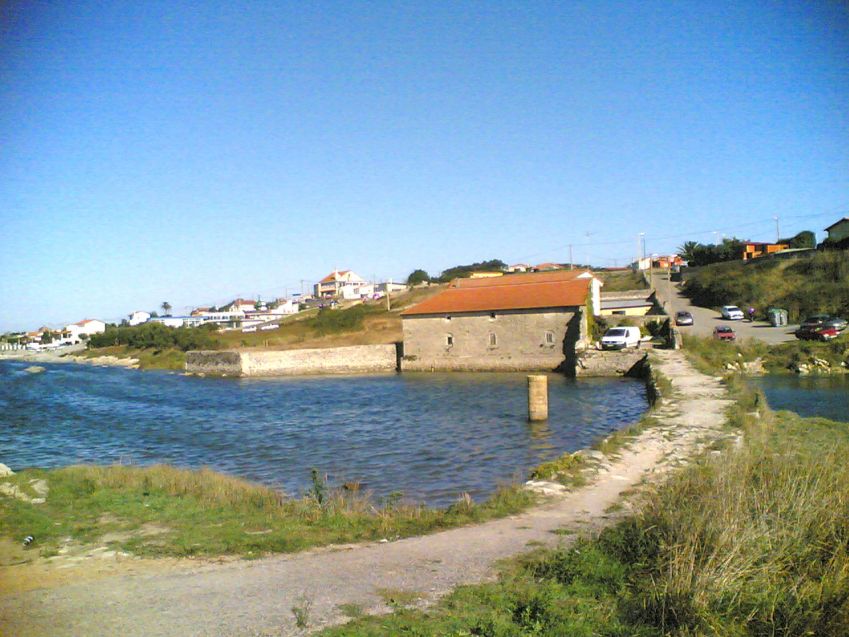 Vivero de marisco