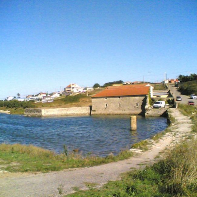 Vivero de marisco