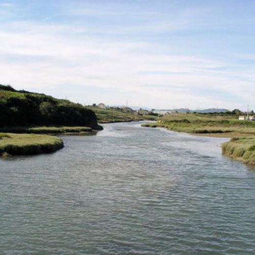 Vista de la zona de marismas exterior