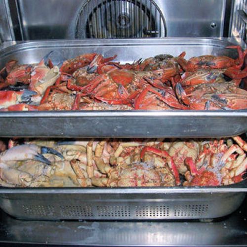 Bandejas de horno para cocer marisco