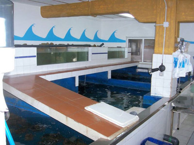 Interior del vivero de marisco